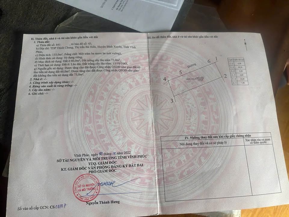 Đất Vĩnh Phúc 133m² Giá 1.3 Tỷ - Hàng Đầu Tư Bá Hiến