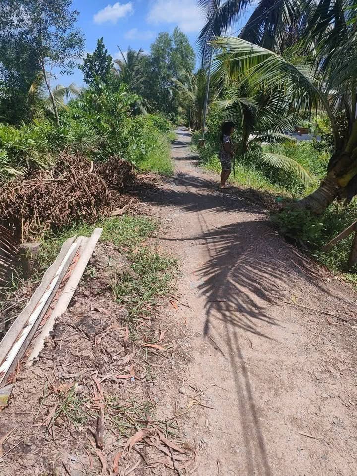 Đất Vườn Cần Giuộc 500m² - Giá Sốc Đầu Năm Chỉ 299 Triệu