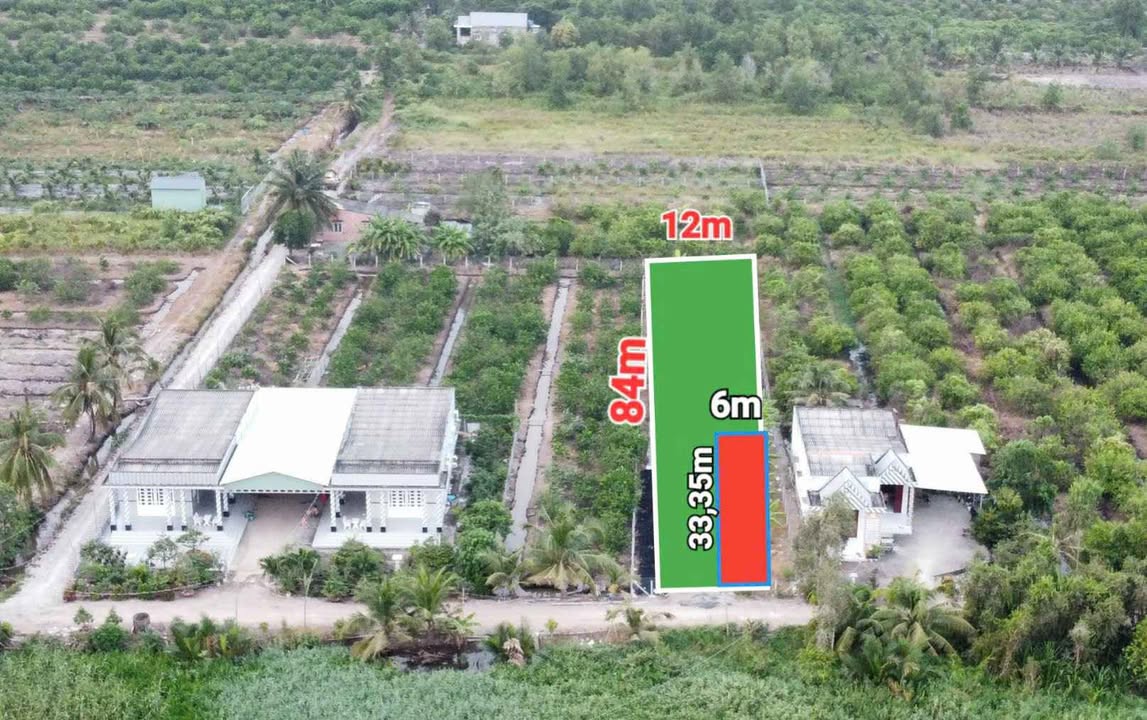 Đất nền Đức Huệ Long An 1000m² - Đường to ô tô, pháp lý rõ ràng!