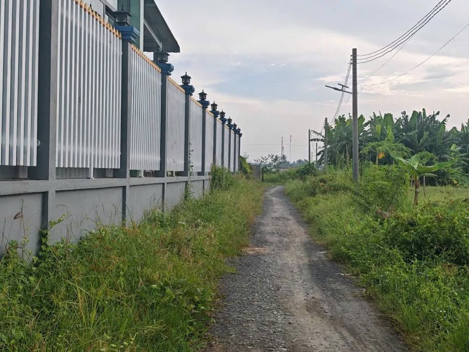 Bán Đất Long An 3000m² Sổ Đỏ Chính Chủ - Giá 3.9 Tỷ