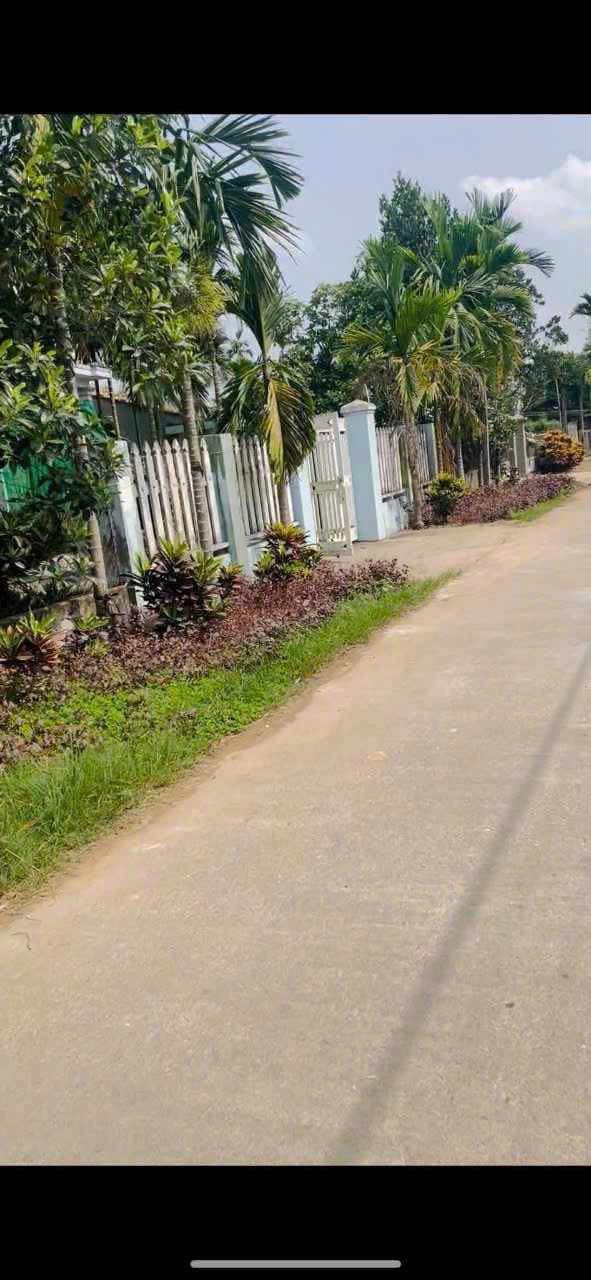 Lô Đất Thành phố Quảng Ngãi 150m² - Đường to ô tô, tiềm năng sinh lời!