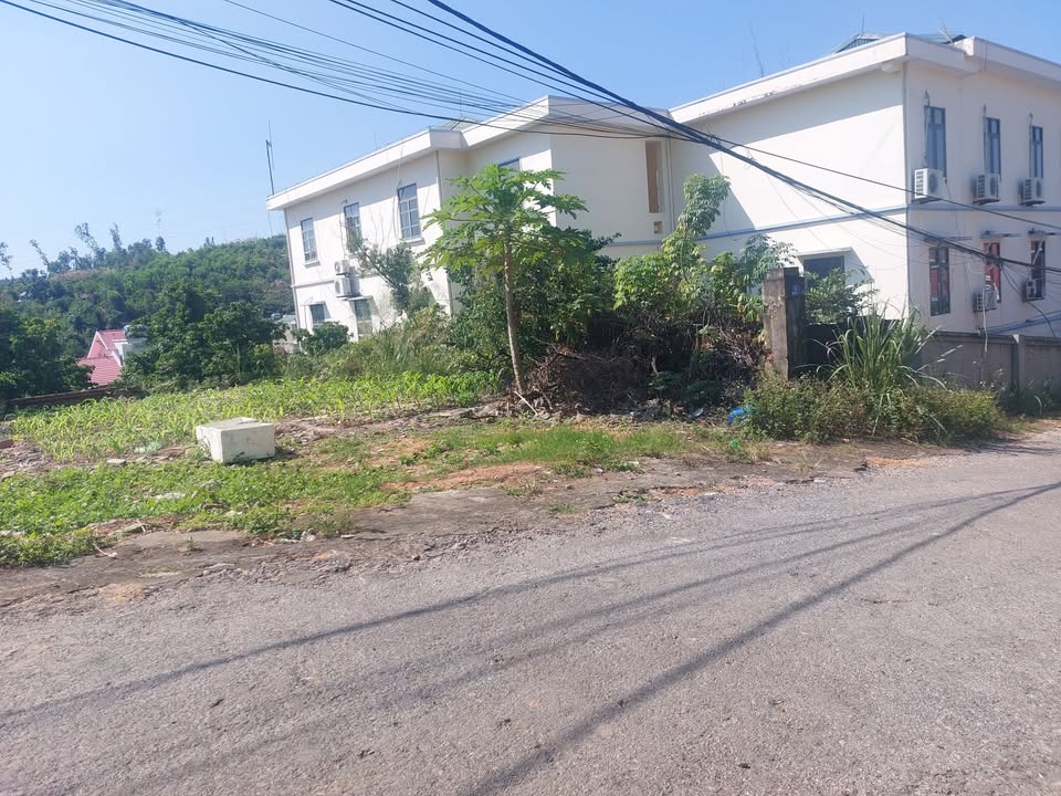 Đất nền Sổ Đỏ Phường Hà Trung, Hạ Long - 80m² Giá Đầu Tư 1.7 Tỷ