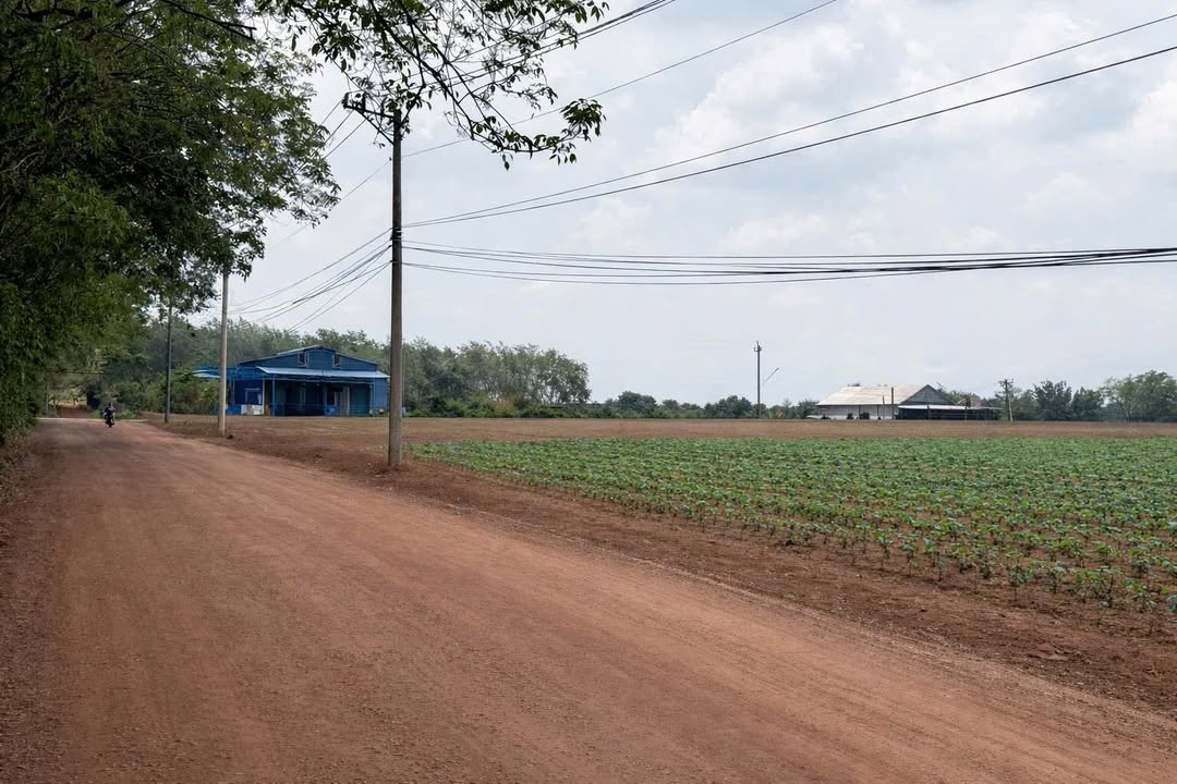 Đất Nền 2250m² Minh Thạnh, Bình Phước - Sổ Riêng, 100% Thổ Cư