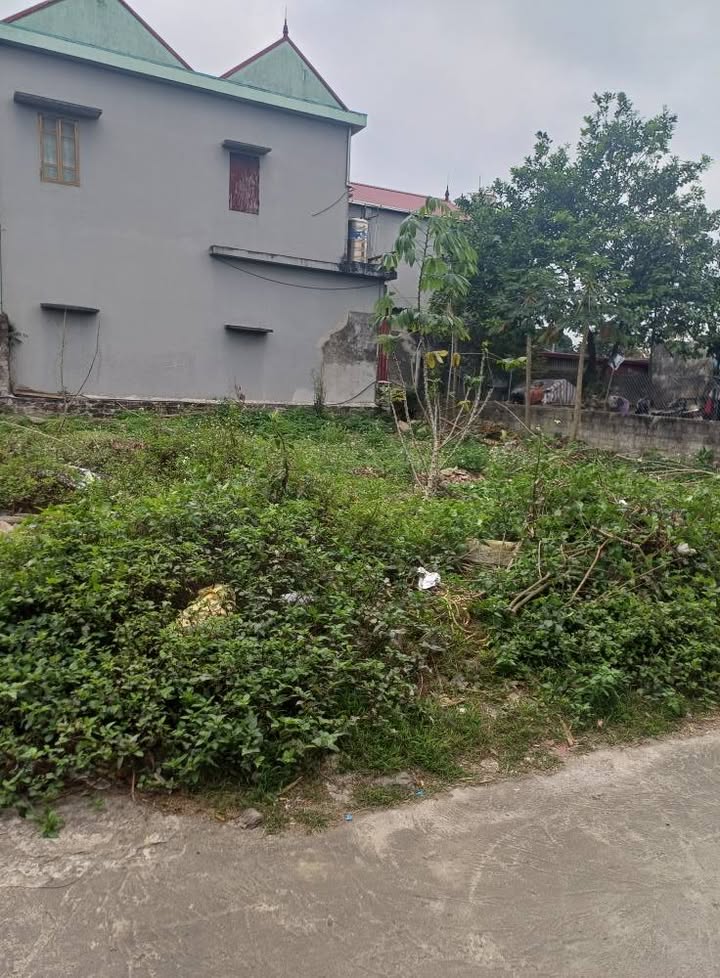 Đất nền 82m² Thanh Liêm, Hà Nam - Tiềm năng tăng giá cực lớn!