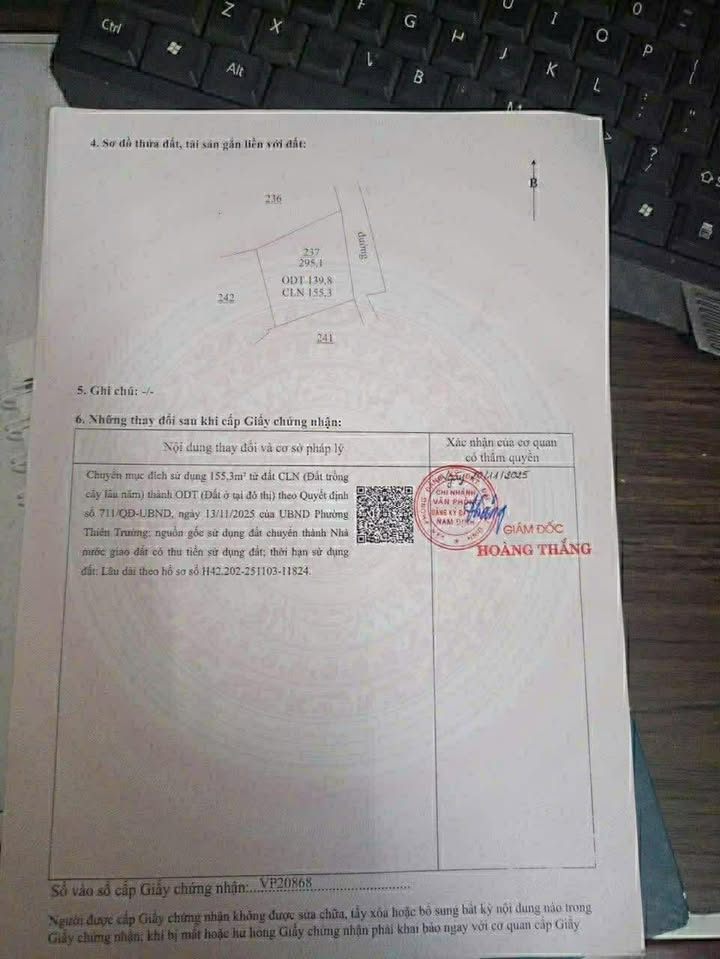 Đất nền Trực Ninh 295m² - Sổ đỏ chính chủ, tiềm năng sinh lời!