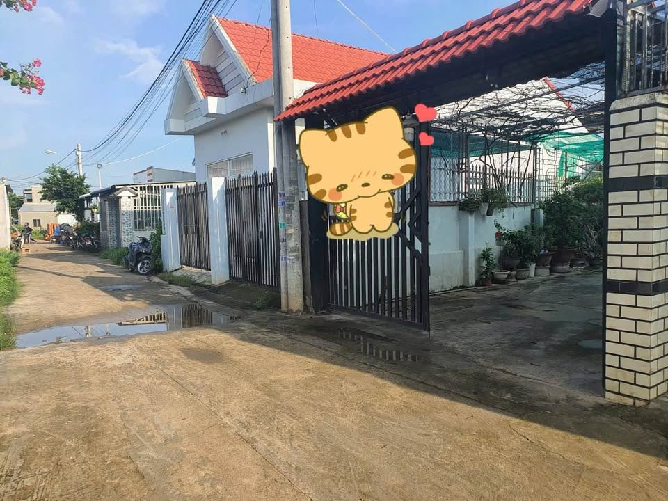 Đất nền Phan Thiết 300m² - Sổ đỏ chính chủ, đường ô tô tới nơi!