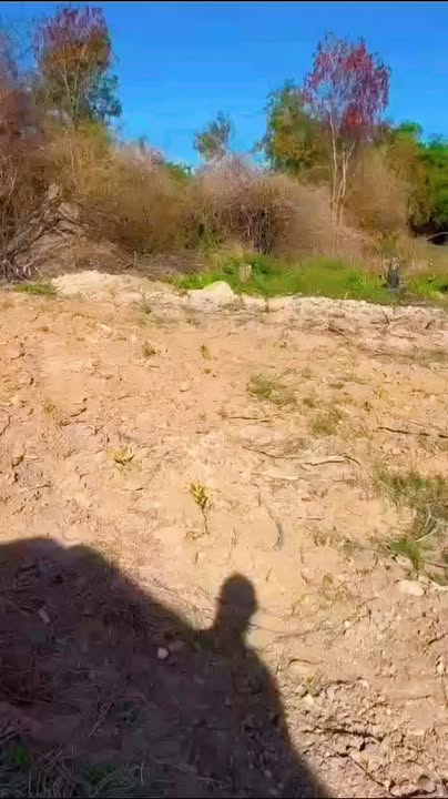 Bán Gấp Đất Vàng Bình Thuận 11.000m² - Giá F0 8 Tỷ