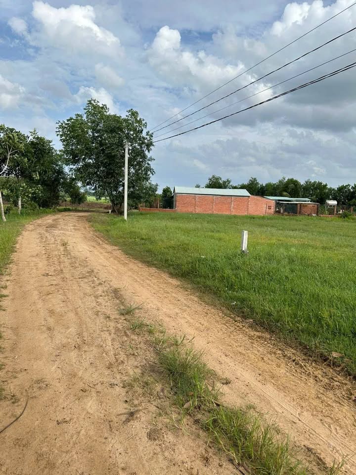 Đất nền Tân Biên Tây Ninh 590m² giá 380 triệu - Sổ đỏ chính chủ!