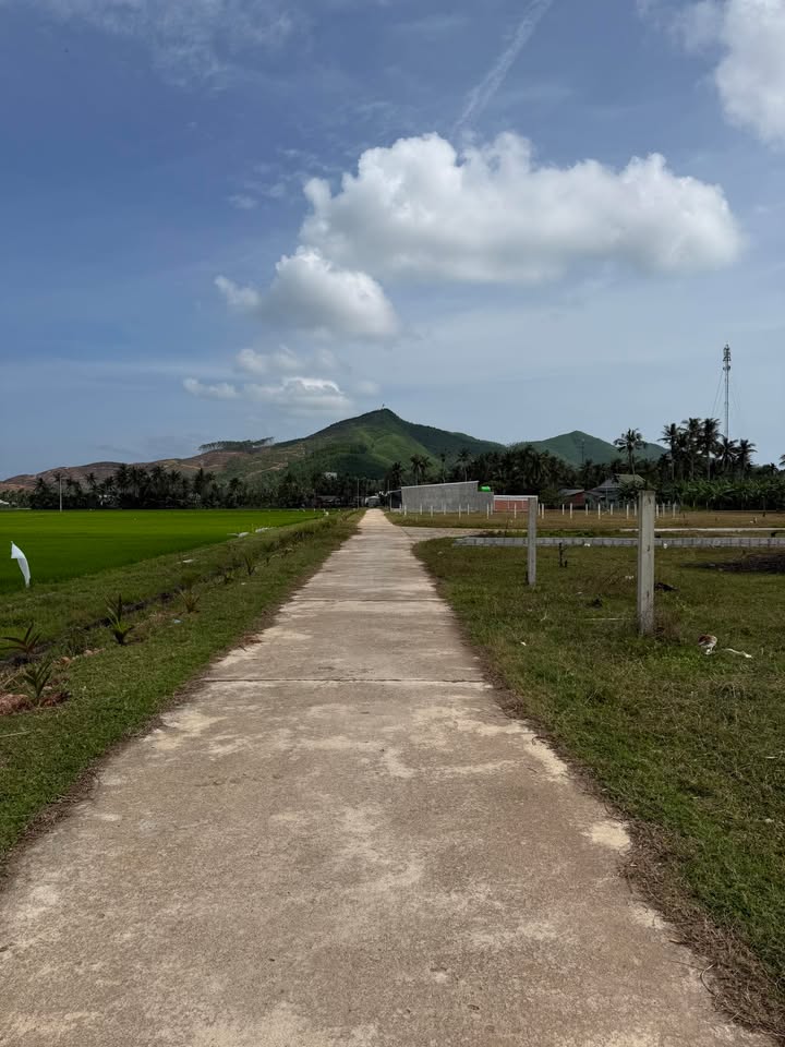 Đất thổ cư 150m² Vĩnh Phụng 2, Hoài Xuân - View ruộng thoáng mát, chỉ 5xx triệu