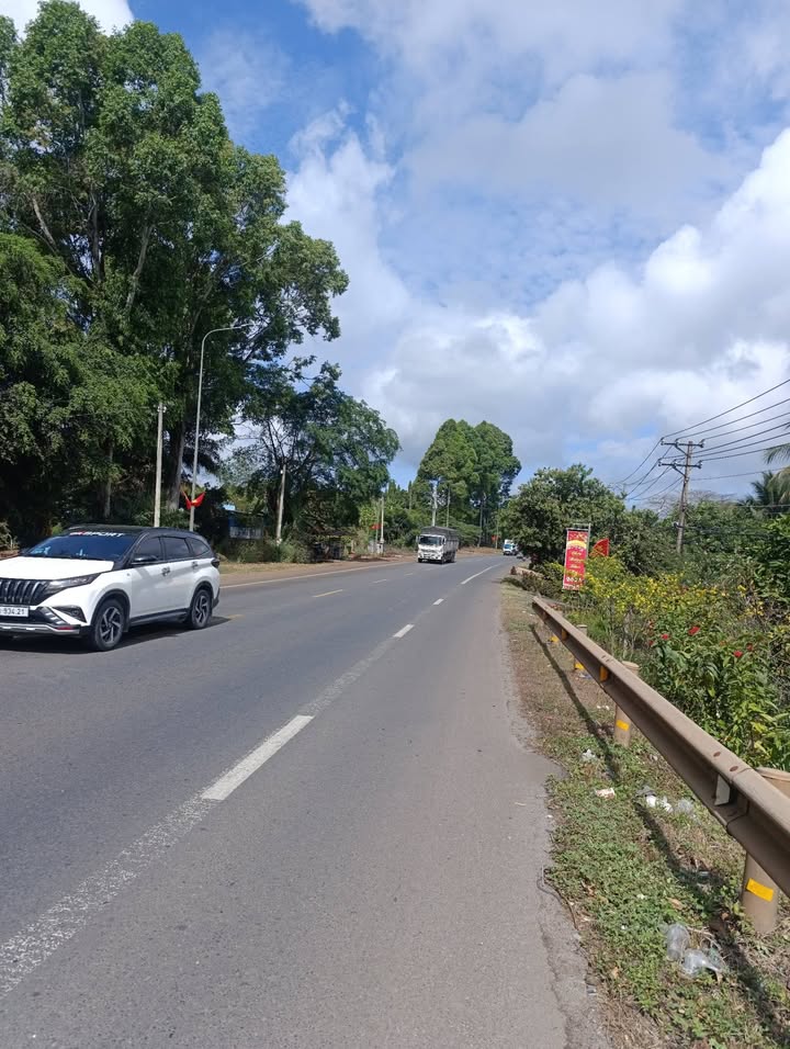 Đất Thổ Cư Sổ Riêng 255m² Mặt Tiền QL20, Định Quán - Giá Đầu Tư 900 Triệu