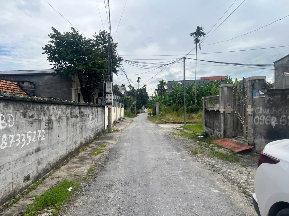 Đất nền mặt tiền 7m nhựa Hoa Động, Thủy Nguyên - 61.7m² giá chỉ 1.x tỷ