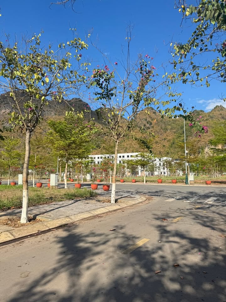 Đất nền Picenza Sơn La 80m² giá 1.399 tỷ - Xây dựng tự do!