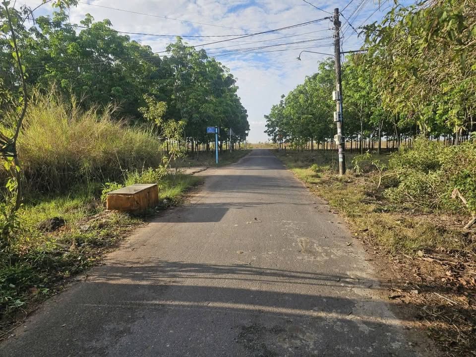 Đất nền tặng nhà cấp 4 Trảng Bom 145m² - Giá tốt hiếm có!