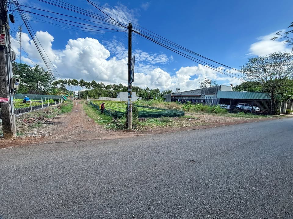 Đất nền Đông Hoà Trảng Bom 145m² 820 triệu - Sổ đỏ chính chủ!
