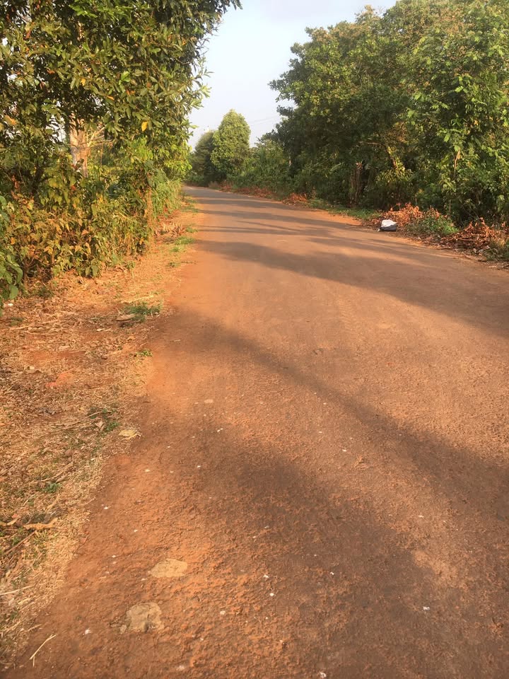 Đất Nền Tuy An 540m² - Mặt Tiền Đường Nhựa 9x60m Giá 450 Triệu