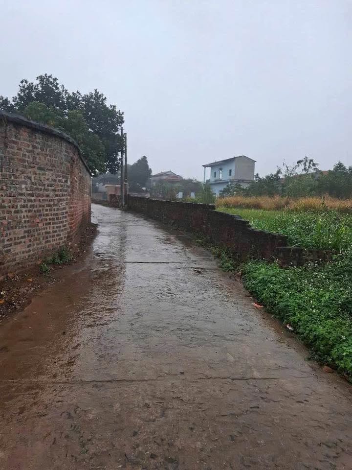 Đất nền Sóc Sơn 1.600m² giá 20 tỷ - Sổ đỏ chính chủ, view thoáng!