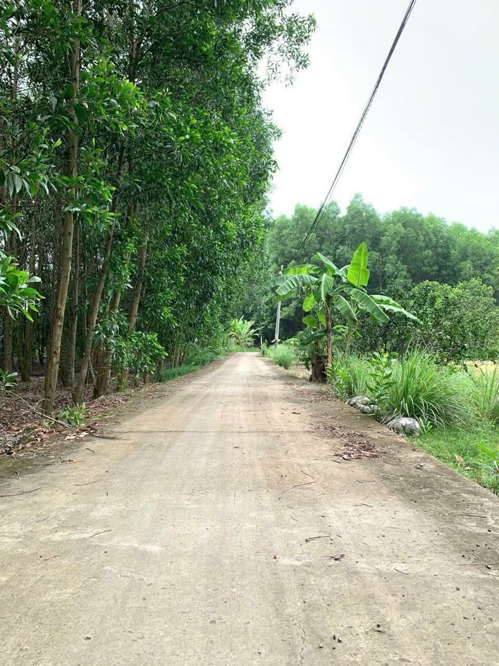 Bán Gấp 9.5 Sào Đất Vĩnh Cửu - Sổ Riêng, Đường 7 Chỗ, Giá Tốt