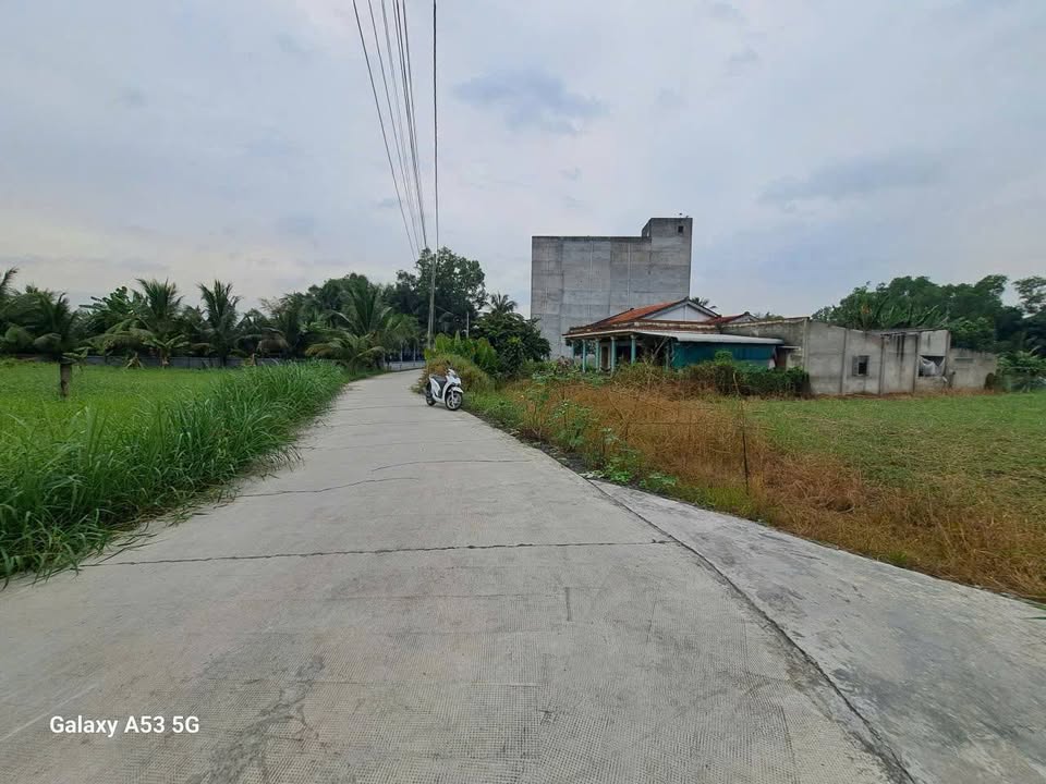 Đất Vườn 1000m² Sổ Hồng Thổ Cư Bến Lức, Long An - Giá Đầu Tư 3.2 Tỷ