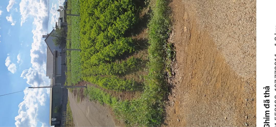 Đất nền Hẻm 134 Phùng Hưng, Bảo Lộc 200m² - Đất thổ cư 100%