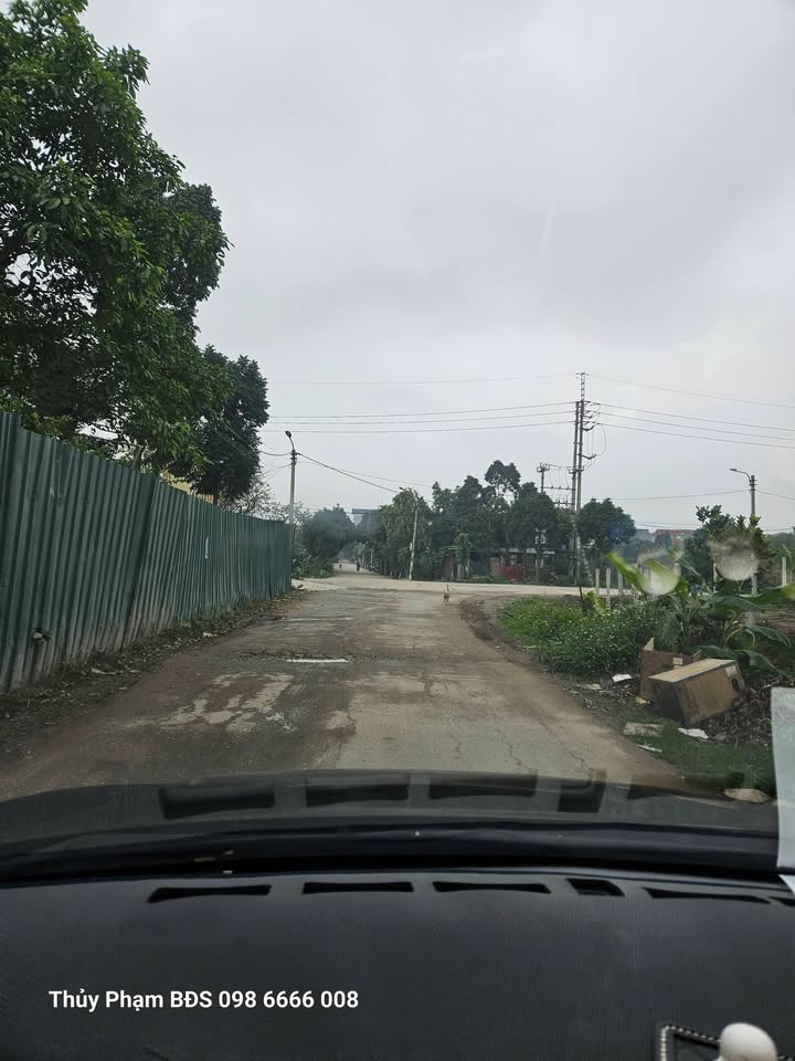 Đất Nền Yên Mỹ, Thanh Trì 327m² - Sổ 50 Năm, Giá 1 Tỷ