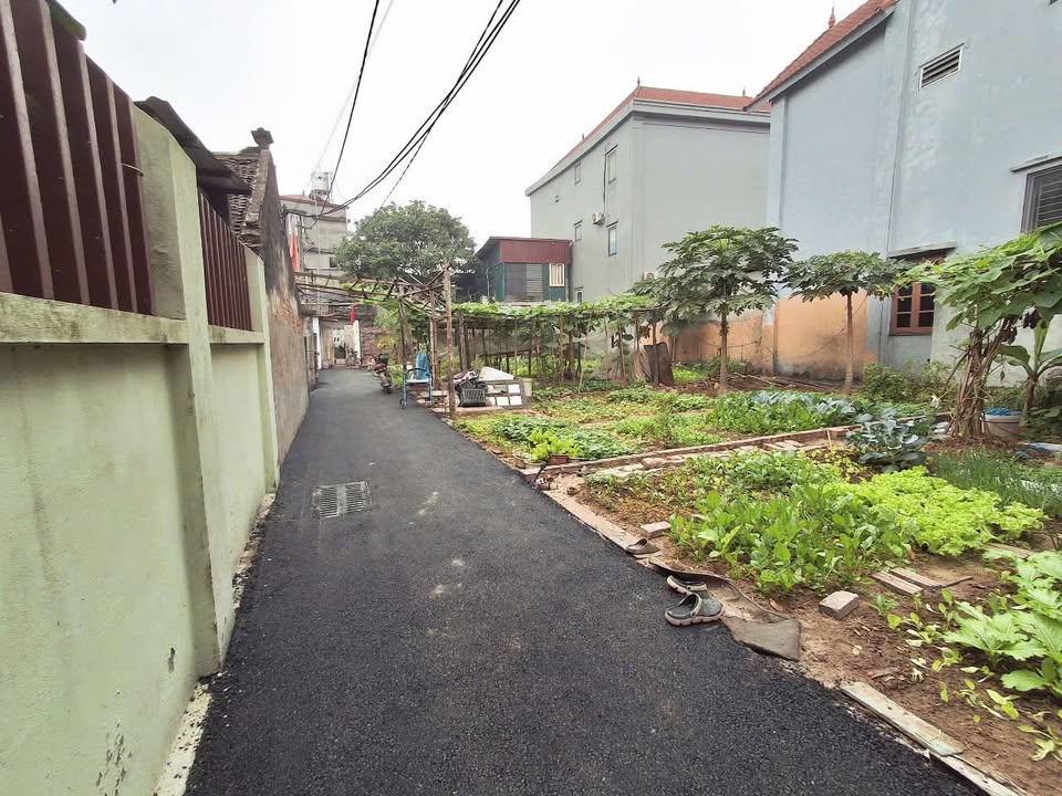 Đất nền Đông Anh 45m² - Sổ đỏ chính chủ, tiềm năng tăng giá!