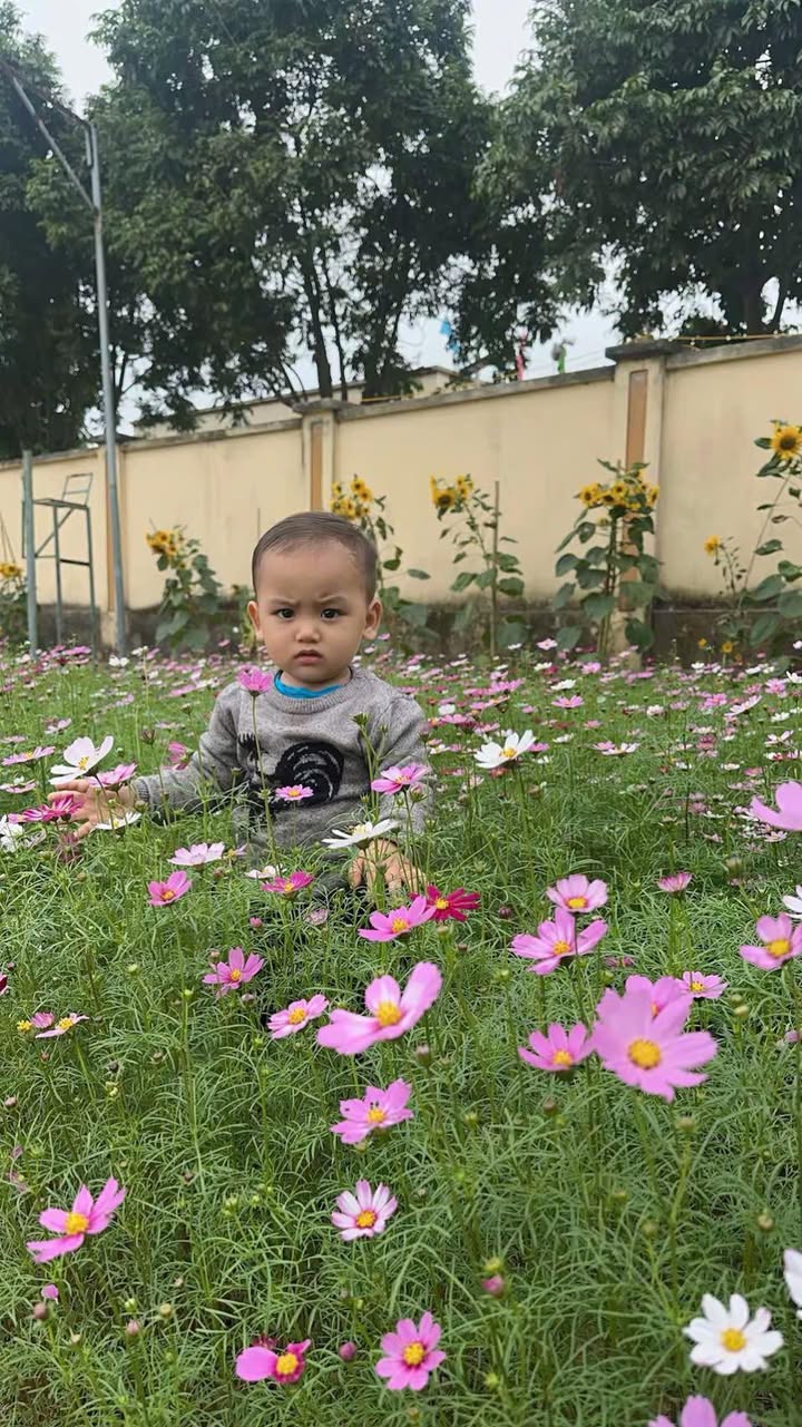 Đất nền 85m² Mê Linh, Hà Nội - Sổ đỏ chính chủ, ô tô vào tận nơi!