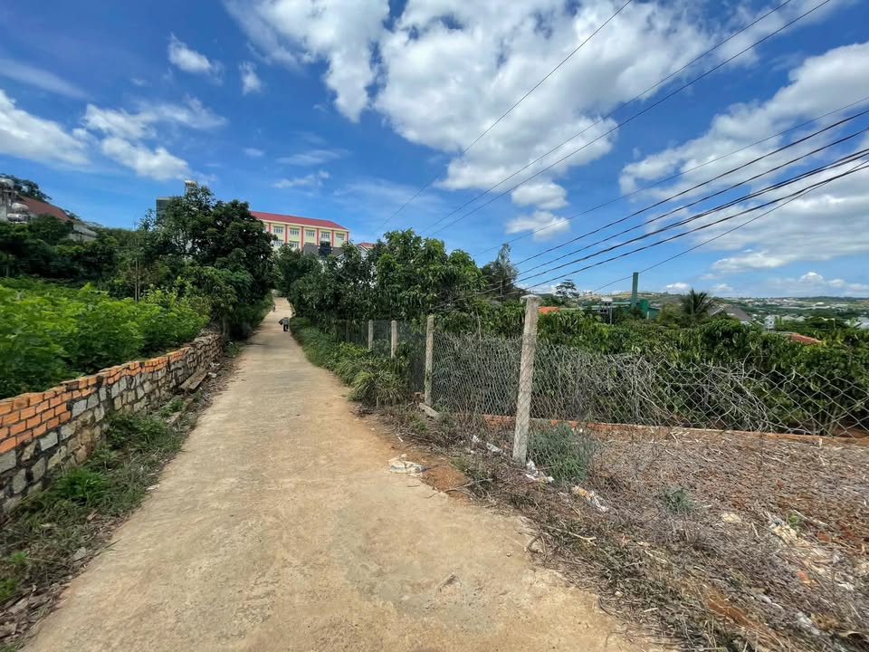 Đất Nền Thăng Long, Lâm Hà 490m² - Sẵn 100m² Thổ Cư, Gần Chợ