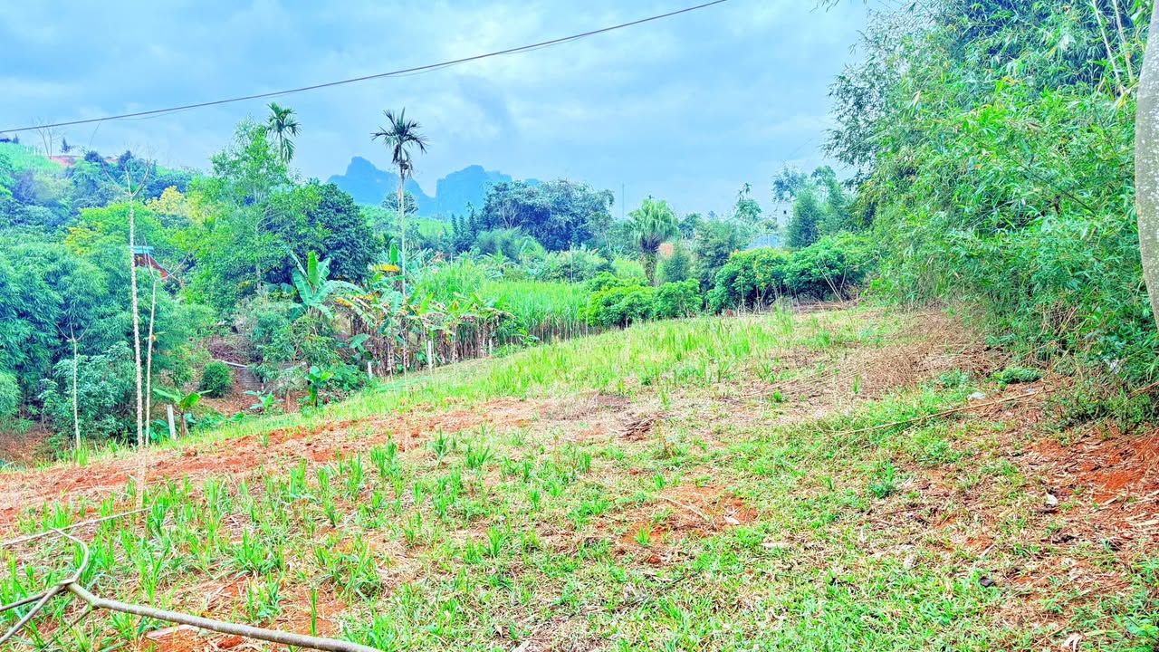 Đất nền Cao Phong Hòa Bình 2126m² giá 1.1 tỷ - Sổ hồng sẵn