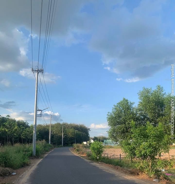 Đất Nền Bàu Bàng 290m² - Sổ Hồng Thổ Cư 100% - Giá 1 Tỷ Tốt Nhất