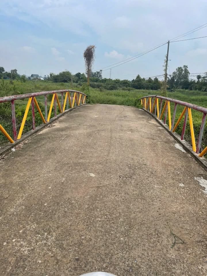 Bán Đất Vườn 1700m² Tân Định, Bến Cát - Sổ Hồng Riêng, Giá 1.9 Tỷ