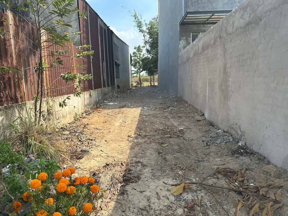 Đất Nền Bình Dương 120m² - Đường 36 Sầm Uất, Giá 2.5 Tỷ