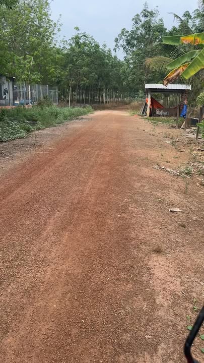 Đất vườn Lai Uyên 10.000m² giá 7 tỷ - Thu nhập 1 triệu/ngày, sổ hồng sẵn!