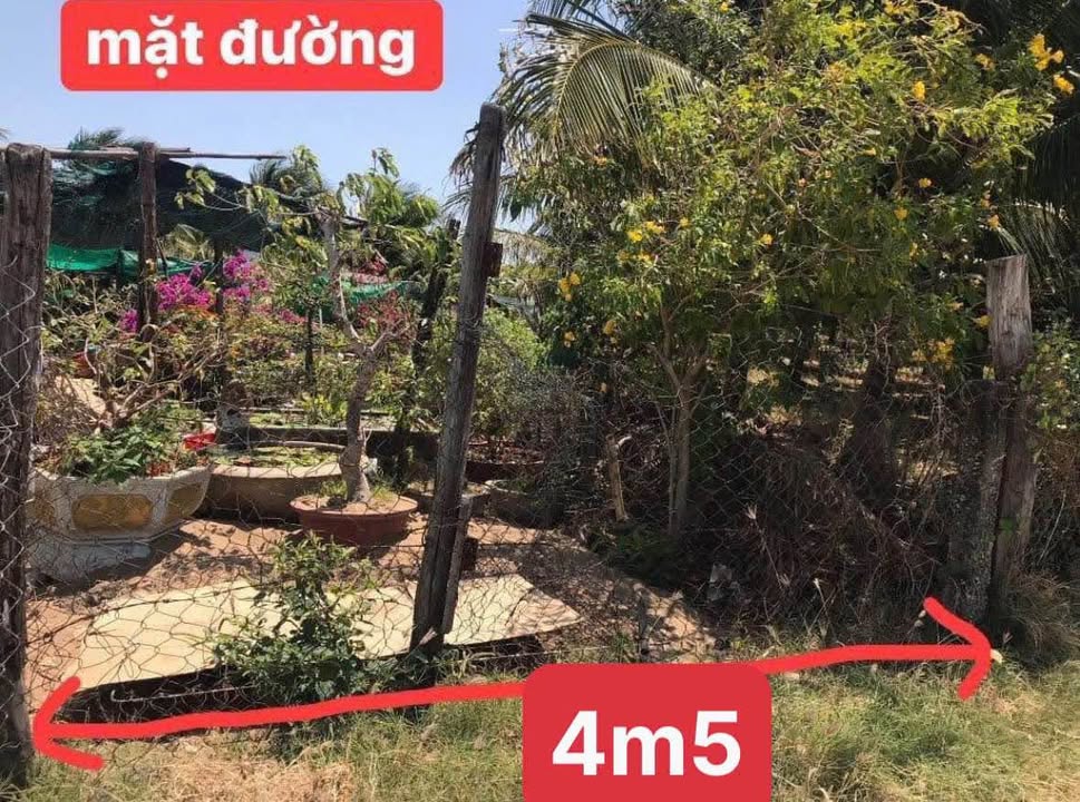 Bán Đất Vườn Ninh Phước 936m² - Sổ Đỏ Chính Chủ, Giá 800 Triệu