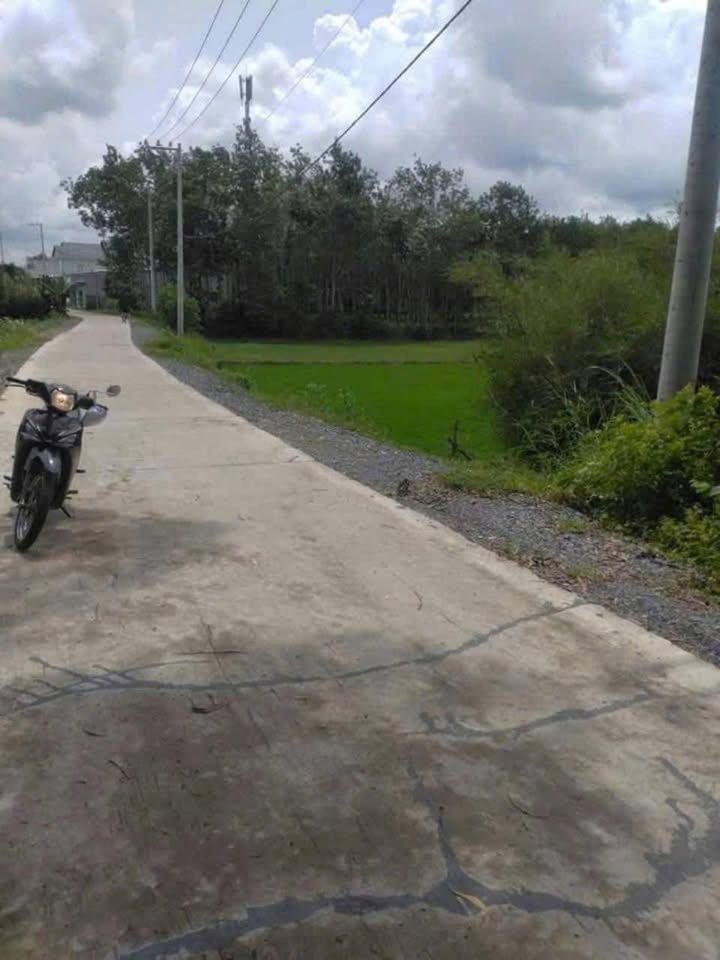 Đất vườn Phước Thạnh Củ Chi 1000m² giá 1.6 tỷ - Nghỉ dưỡng lý tưởng!