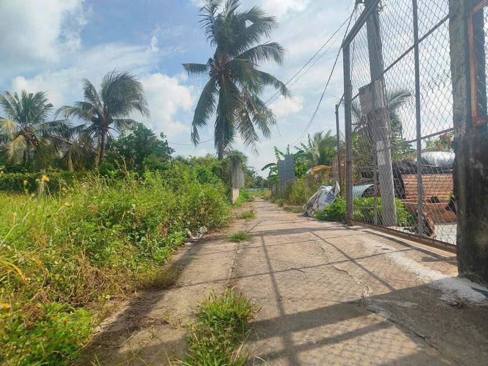 Đất Vườn 330m² Tân Lược - Tiềm năng sinh lời, gần Chợ Tân Hiệp