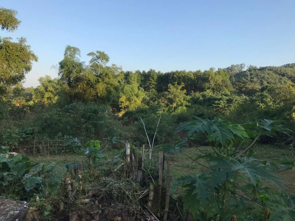 Đất Lương Sơn Hòa Bình 6.299m² 10,5 tỷ - Đường to ô tô