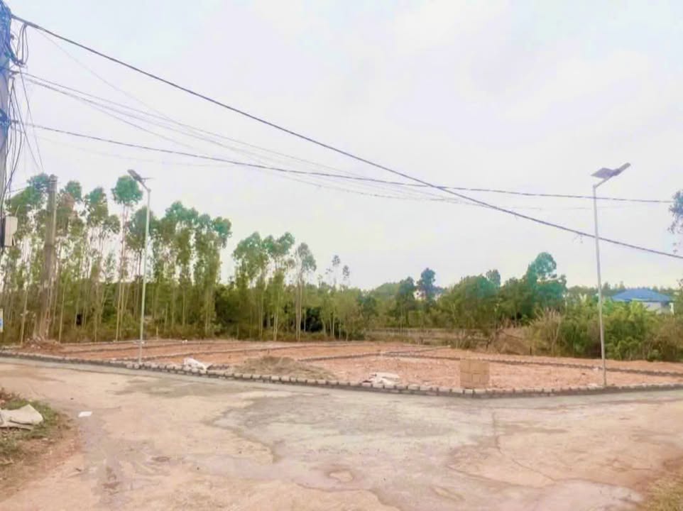 Đất Bảo Đài Lục Nam 560m² giá 800 triệu - Sổ đỏ chính chủ!