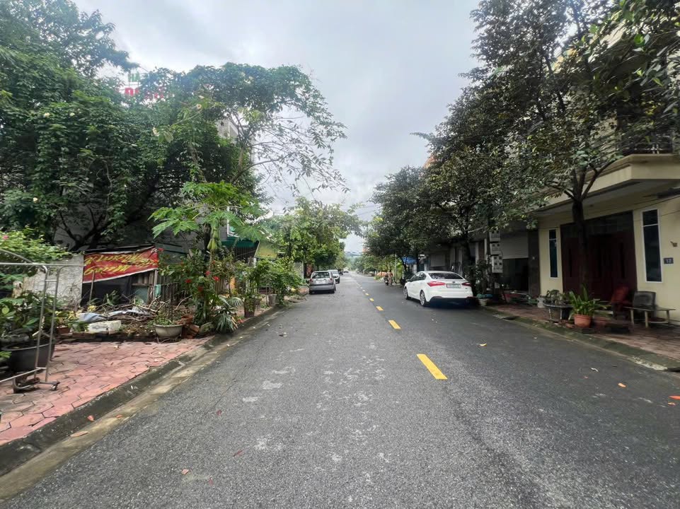 Đất nền Phú Thọ: 85m² Vũ Thê Lang, MT 13.5m, Giá 3.9 tỷ