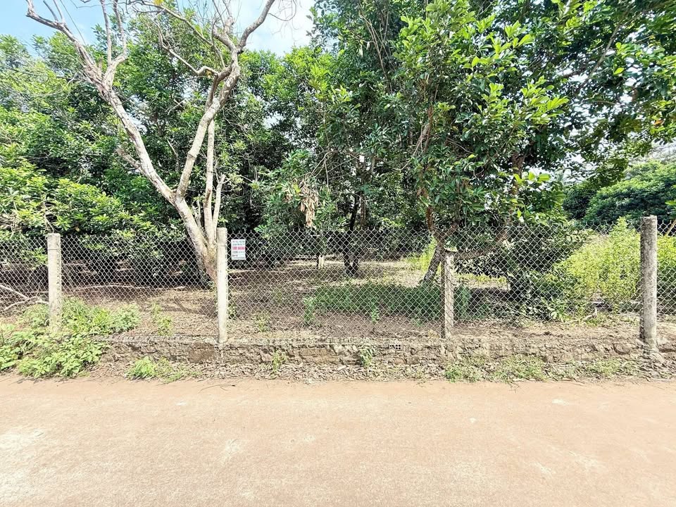 Đất Nền Bảo Vinh 162m² Sổ Riêng Thổ Cư - Giá 1.35 Tỷ