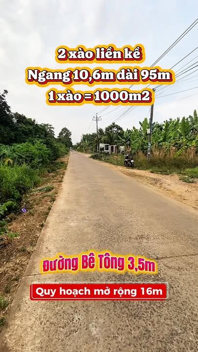 Đất nền Cẩm Mỹ 1000m² giá 2.4 tỷ - Tiềm năng tăng giá cực cao