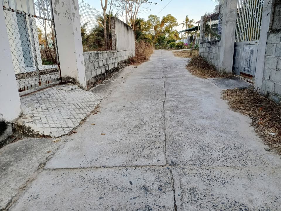 Bán Đất Thổ Cư Hàm Đức, 168m², Sẵn Sổ - Giá Đầu Tư 500 Triệu