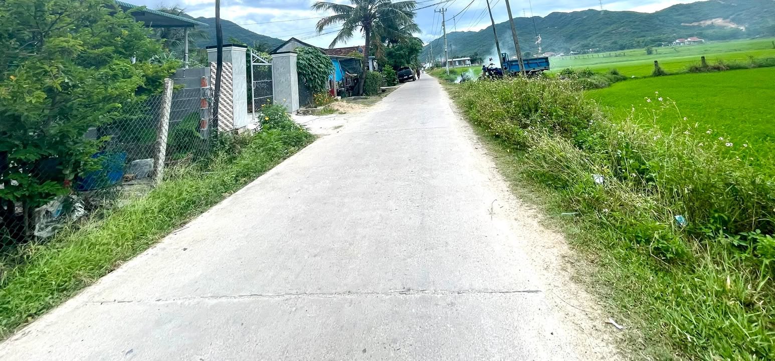 Đất nền Phường Hoà Thắng Ninh Hoà 1000m² - Sổ đỏ chính chủ