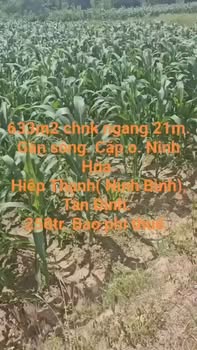 Đất nền Ninh Hòa 633m² giá 250 triệu – Sổ đỏ chính chủ!