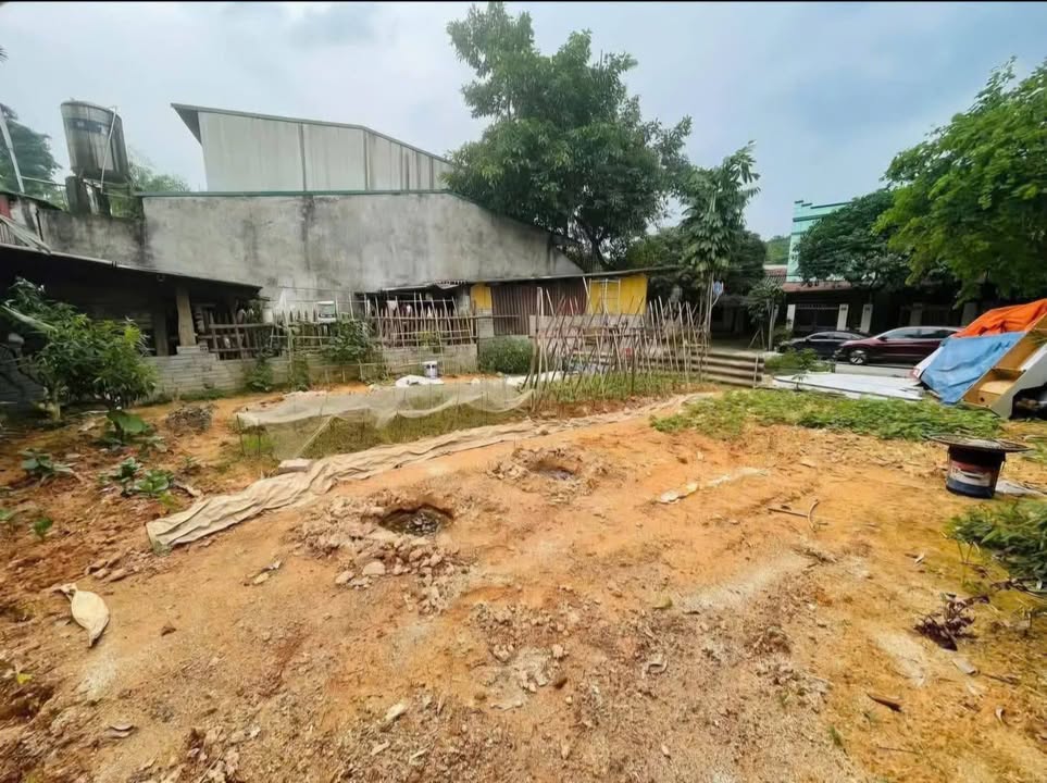 Đất nền Trần Bình Trọng 61m² - Tiềm năng tăng giá!