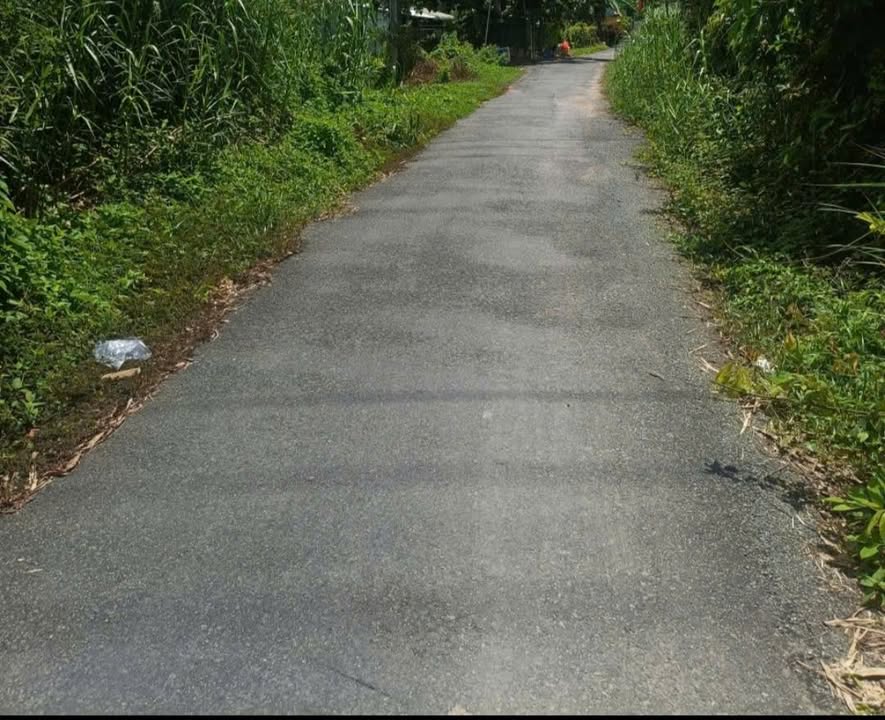 Bán Gấp Nhà Vườn 1042m² P.Hoà Thuận, Cao Lãnh - Giá 1.5 Tỷ TL