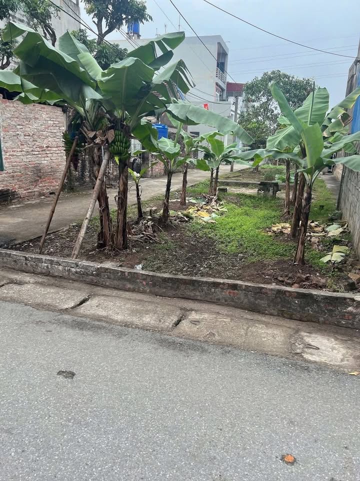 Đất nền Xã Ngọc Thanh, Kim Động 89.4m² - Giá F0, Tiềm năng tăng giá!