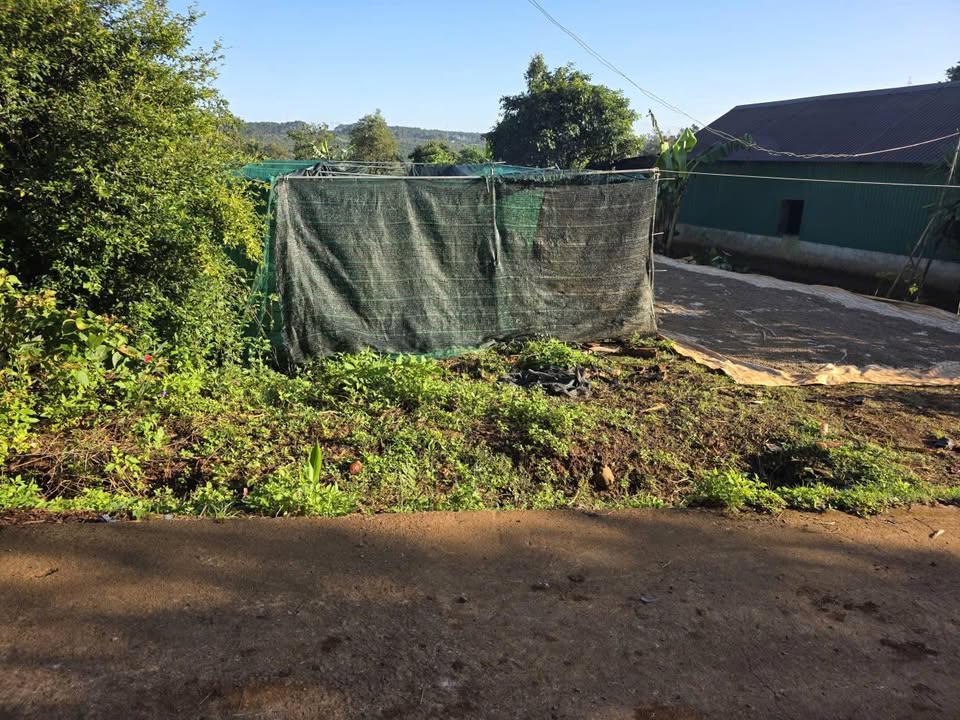 Đất nền Krông Búk 530m² Giá đầu tư tốt