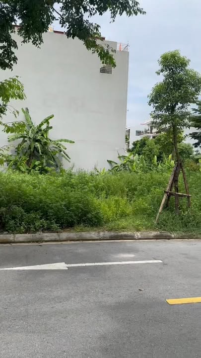 Đất Vườn Hoa Từ Sơn 100m² - Vượng Khí Đông Bắc, Kinh Doanh Đắc Lợi