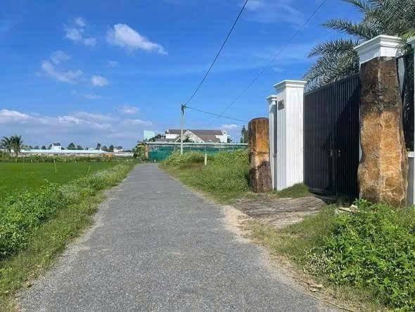 Đất nền P. Long Châu 195m² - Tiềm năng tăng giá, sổ đỏ sẵn sàng!