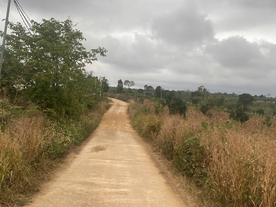 Đất nền Krông Năng, Đắk Lắk - 1800m² bám mặt đường bê tông 50m